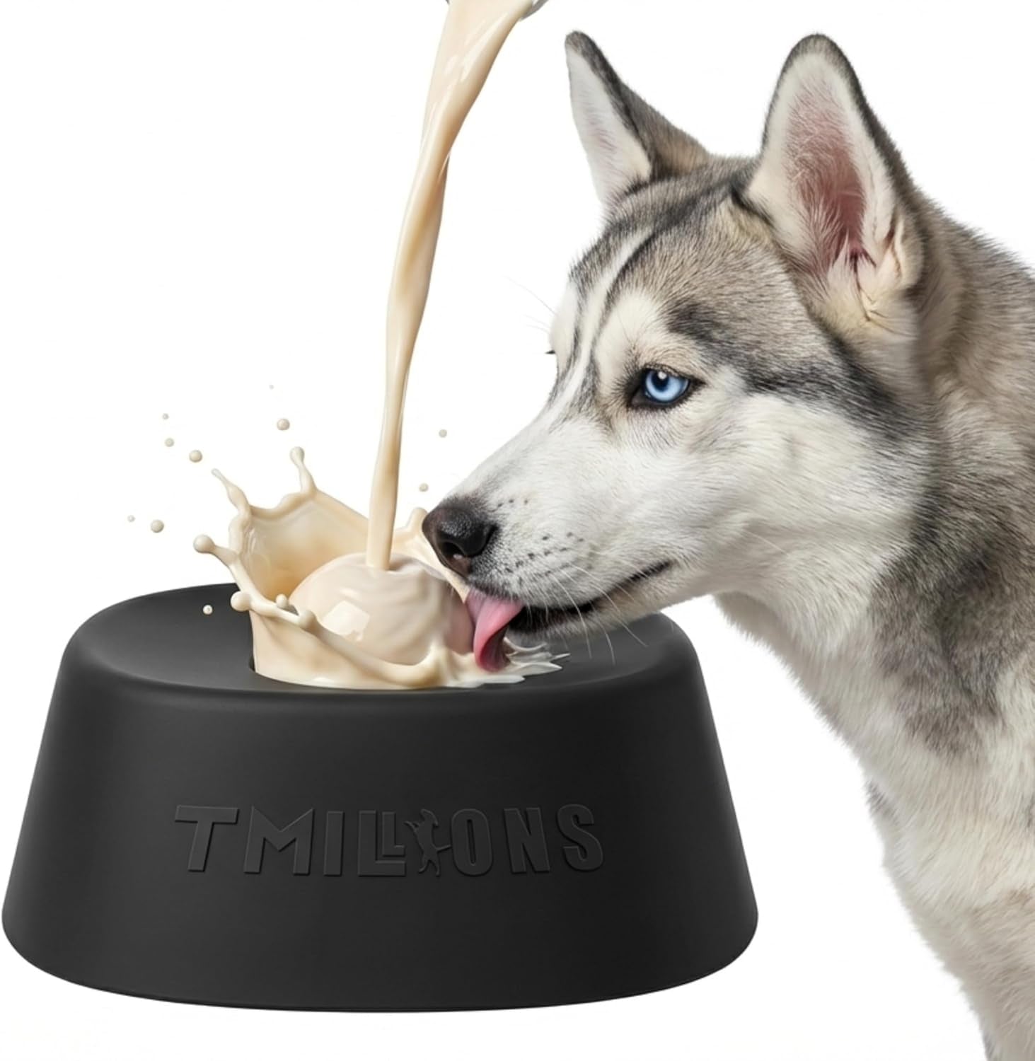 Dog Bowl No-Spill Slow Feeder