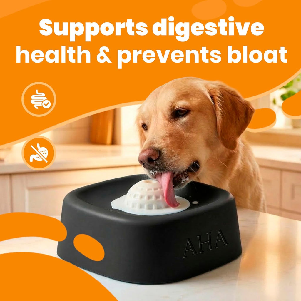 Dog Bowl No-Spill Slow Feeder