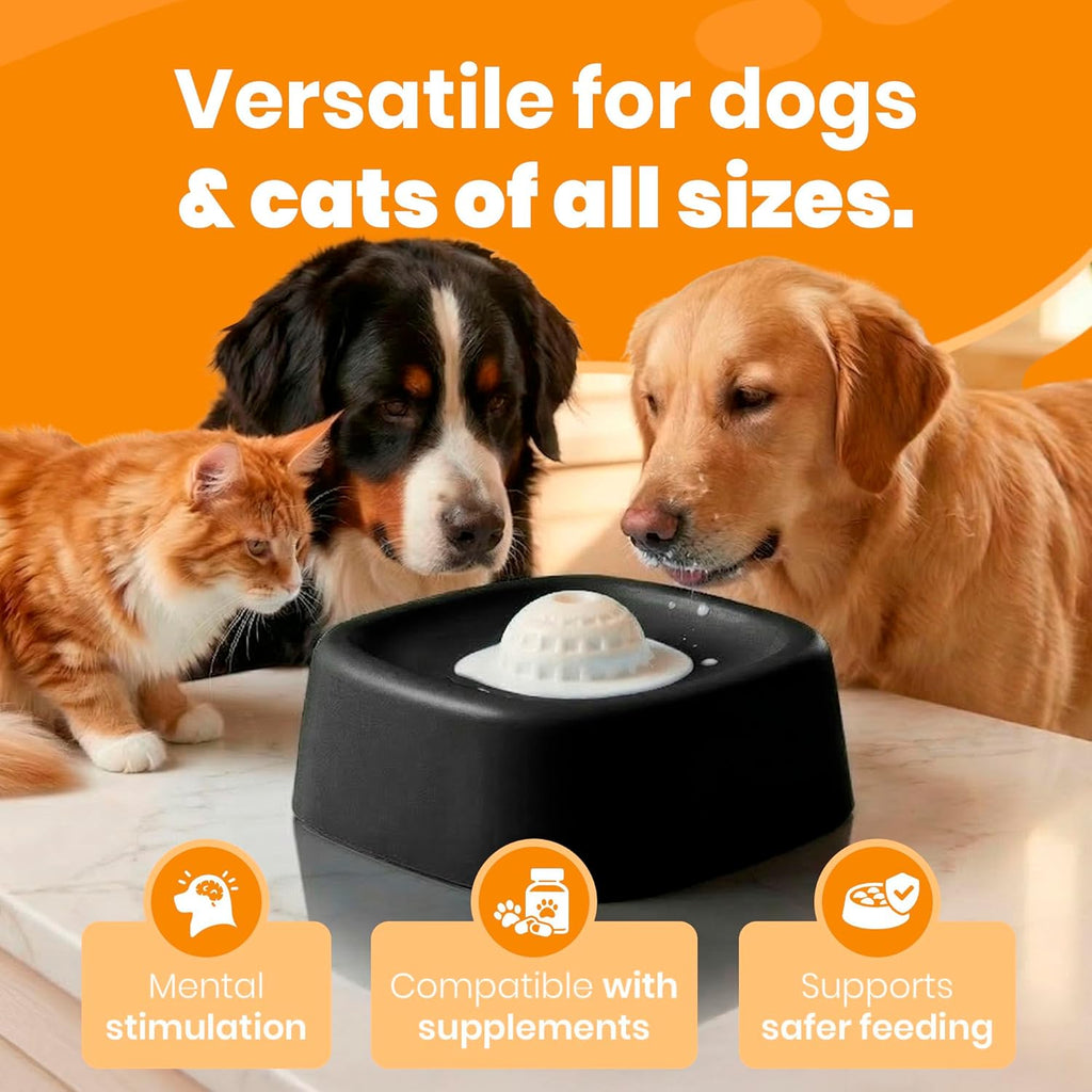 Dog Bowl No-Spill Slow Feeder