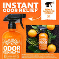 Eliminator Pet Spray